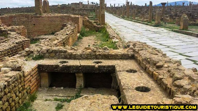 Reconstitution Des Latrines Des Petits Thermes Du Nord De Timgad